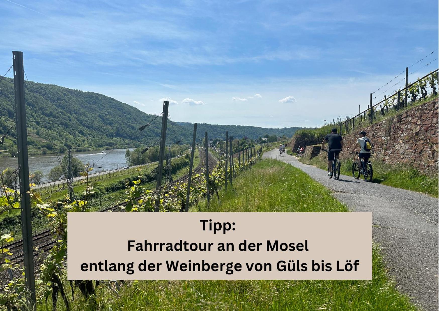 Modern Apartment - Fuer Freunde & Familien, Stadtnah, Parkplatz, E-Ladestation, Gitterbox Fuer Fahrraeder, Fitnessstudio, Digitale Gaestemappe Mit Restaurant- Und Unternehmenstipps โคเบลนซ์ ภายนอก รูปภาพ